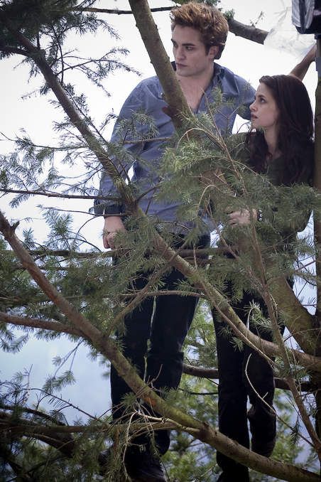 edward__bella.jpg